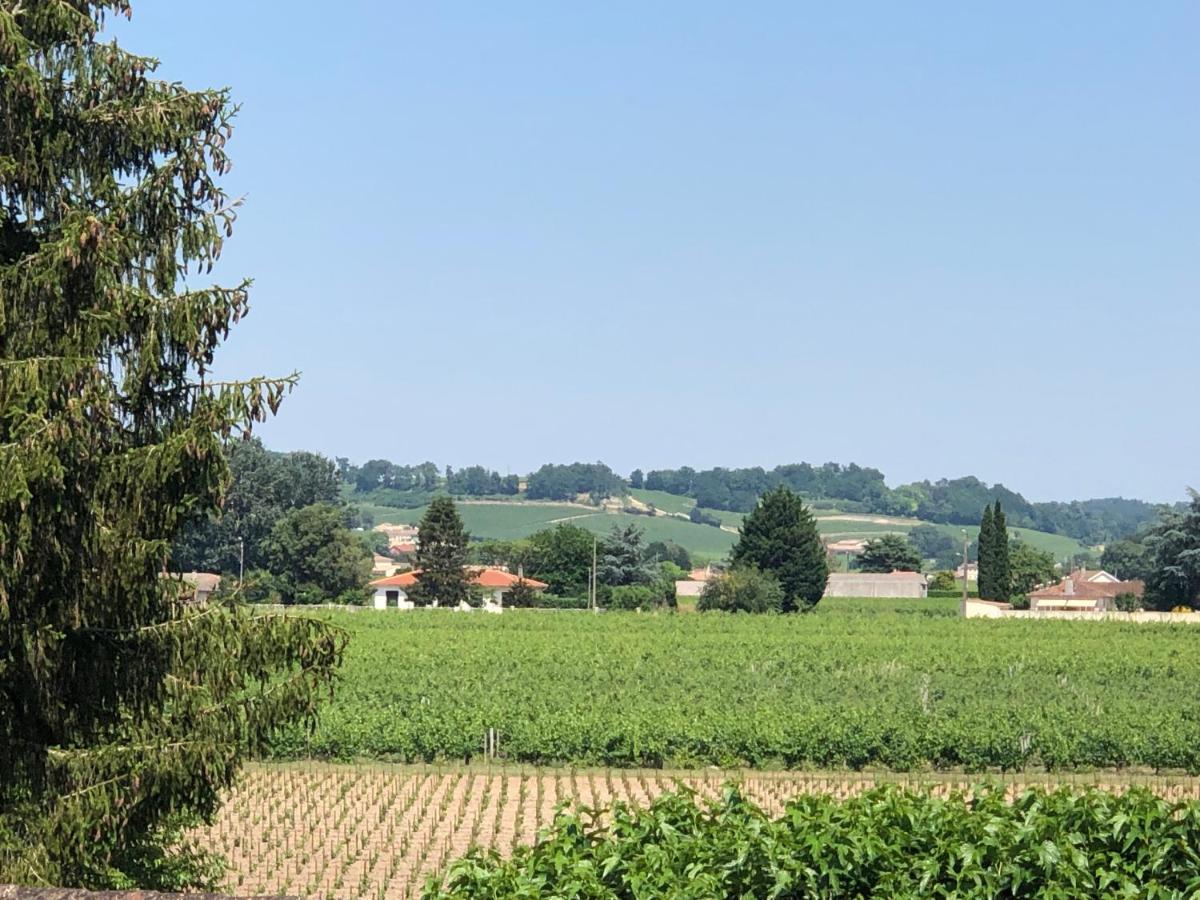 Clos De Bertinat Saint-Sulpice-de-Faleyrens エクステリア 写真