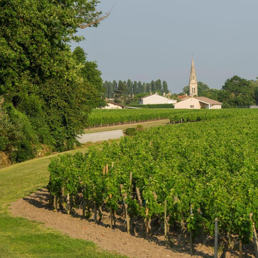 Clos De Bertinat Saint-Sulpice-de-Faleyrens エクステリア 写真