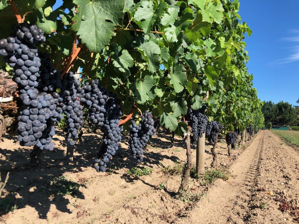Clos De Bertinat Saint-Sulpice-de-Faleyrens エクステリア 写真