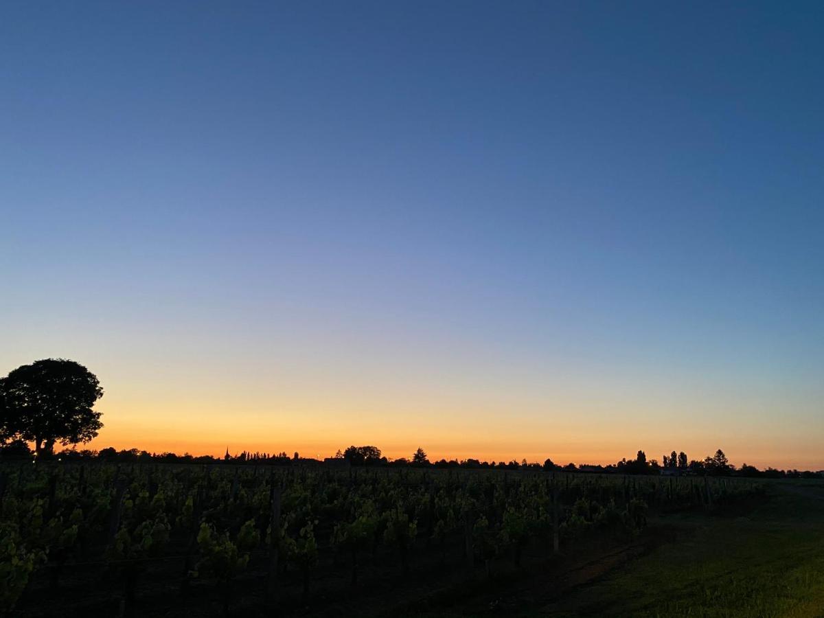 Clos De Bertinat Saint-Sulpice-de-Faleyrens エクステリア 写真