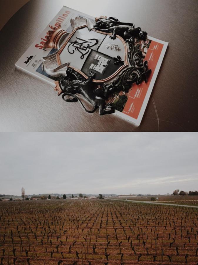 Clos De Bertinat Saint-Sulpice-de-Faleyrens エクステリア 写真