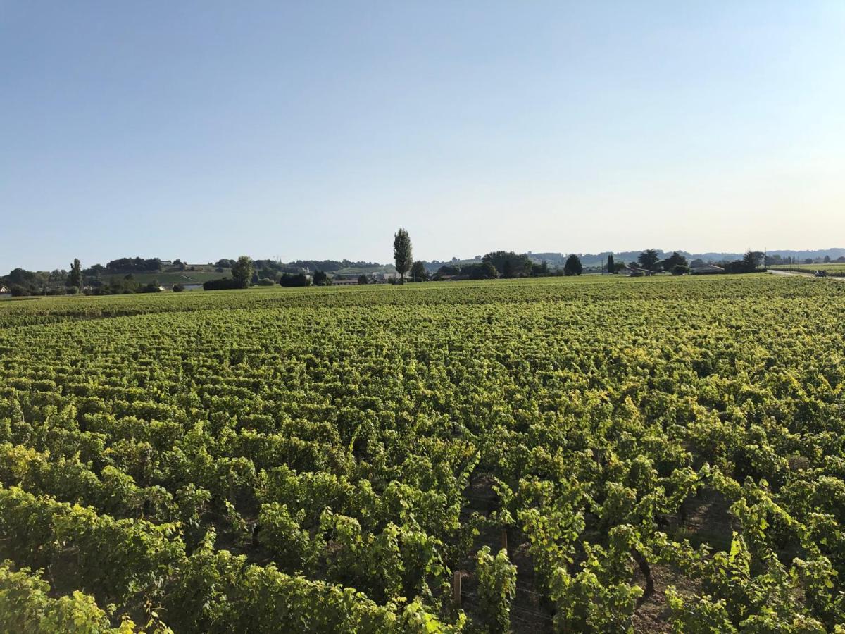 Clos De Bertinat Saint-Sulpice-de-Faleyrens エクステリア 写真